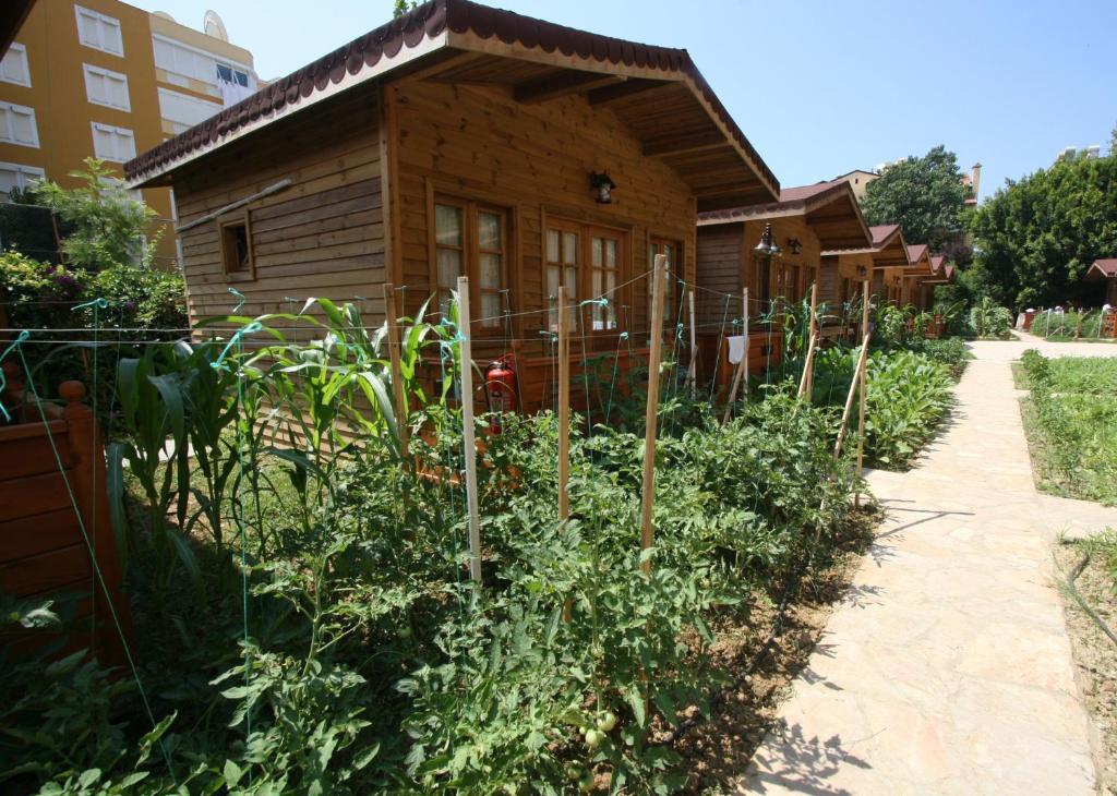 Sevkibey Hotel Alanya Exterior photo